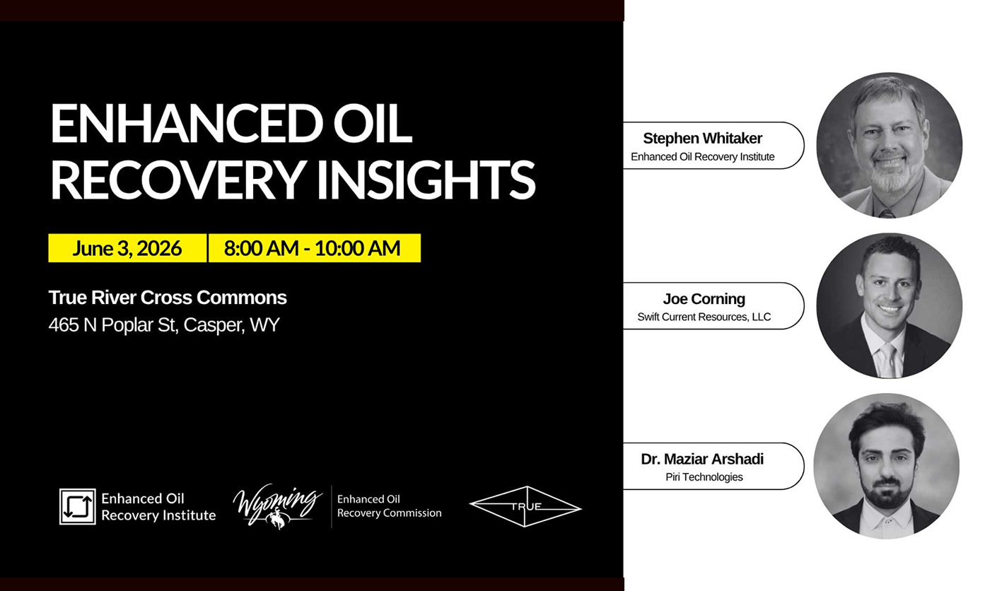 EOR Insights on the Black Bank Field Reservoir Characterization