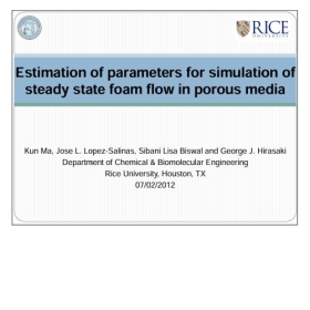 Estimation of Parameters for Simulation of Steady State Foam Flow in Porous Media