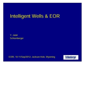 Intelligent Wells & EOR