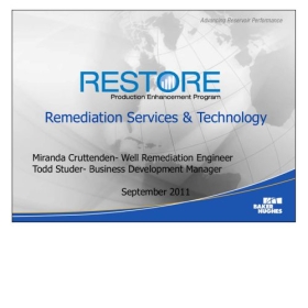 Remediation Services& Technology