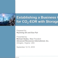Establishing a Business Case for CO2-EOR with Storage
